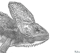 teine Itulau Lanu Lolomi